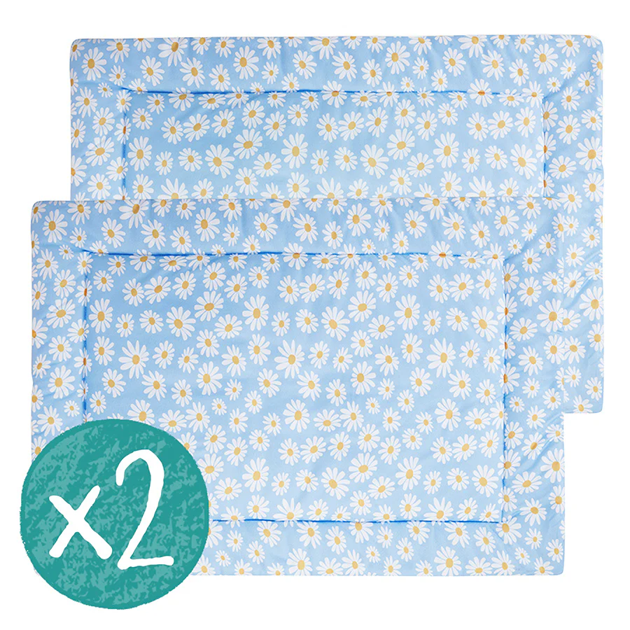 Featured Products | Piggy