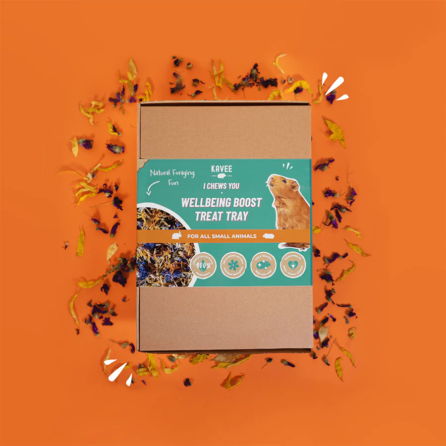Featured Products | Bunny